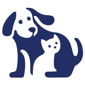 Pet Application - First Pet